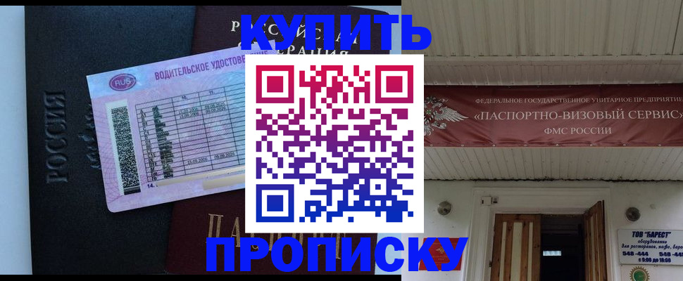 временная регистрация поиск в Алтае